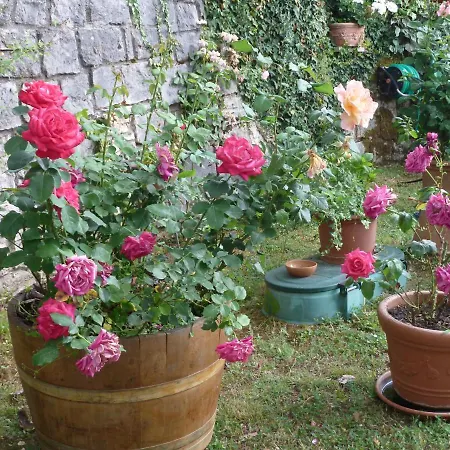 Casa Titty Lejlighed Serre Di Rapolano